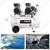Elephant 2HP 50L Oil Free Double Head Air Compressor(AC50DC) with Painter Spray Gun(PS-01), PU Pipe & Fitting - 6 Months Warranty 