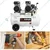 Elephant 2HP 50L Oil Free Double Head Air Compressor( AC50DC) with 18 Gauge Brad Nailer (F-50), PU Pipe & Fitting - 6 Months Warranty