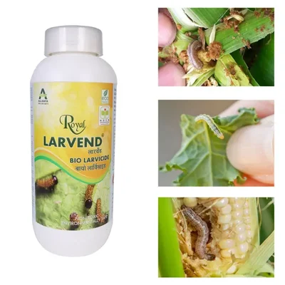 ALLBATA Royal Larvend Premium Quality Bio Larvicide for Agriculture Use(Quantity-250 ml)