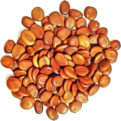 Albizia lebbeck Fry wood (Vagai seed) Women's tongue Tree Seed - (100g)