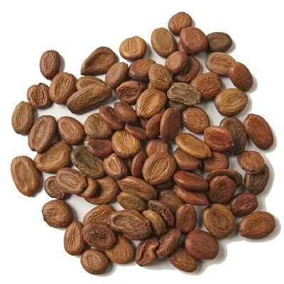 Albizia Odoratissima (Sila Vaagai) Tree Seed (500g)