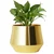 Ecofynd 5 inch Alice Metal Golden Plant Pot for Modern Interior Decoration, Planter Flower Pots, Home Garden Decor