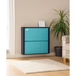 ALIJA 56 x 23 x 68 cm Modern 2-Tier Angled Shoe Rack, Space-Saving Shelves for Home Entryway, Multi-Level Footwear Stand