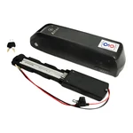 Alter 36 V, 10.4 AH Detachable Lithium Ion Hailong Case Battery, 375 WH Power