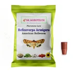 SK Agrotech American Bollworm Lure | Helicoverpa Armigera