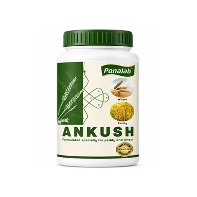 ANKUSH 5L Microbial Biofertilizer Consortium for Paddy & Wheat Cultivation | Biological Nitrogen Fixer
