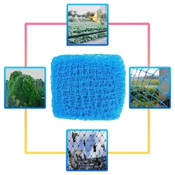 High Quality 5 x 30 meter (1600 sq ft) Anti Bird Net with 25 mm Hole Size | Suitable for Court, Roof, Balcony, etc