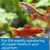 API Copper Test Kit 90-Test for Aquarium Water