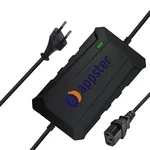 APPSTER 12V DC 2.2A Agriculture Sprayer Pump Battery Charger, 220V AC Input for Diaphragm Motor & Solar Zatka Machine