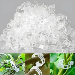 APPSTER Plastic Plant Support Clips for Tomato, Cucumber, Vine, Vegetable & Flower Trellis Gardening (Pack Of 100pcs)