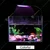 Aquarium LED Light AST X5-Plus with 3 Color Changing Mode