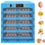 Ndeal 320 Eggs Automatic Egg Incubator, 110/220 V