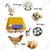 Automatic Egg Incubator with Egg Turner Tray, 48 Eggs Capacity