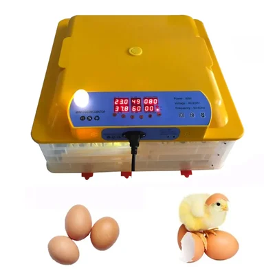 Automatic Egg Incubator with Egg Turner Tray, 48 Eggs Capacity