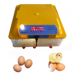 Automatic Egg Incubator with Egg Turner Tray, 48 Eggs Capacity