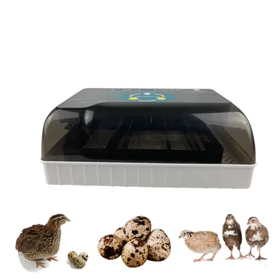Commercial Fully Automatic Quail Egg Incubator, 50 Egg Capacity