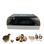 Commercial Fully Automatic Quail Egg Incubator, 50 Egg Capacity
