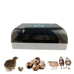 Commercial Fully Automatic Quail Egg Incubator, 50 Egg Capacity
