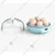 6 Eggs Automatic Incubator For Egg Hatching With Plastic Body