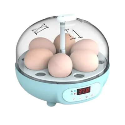 6 Eggs Automatic Incubator For Egg Hatching With Plastic Body