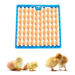 Premium Quality Automatic Multi Functional Roller Egg Tray, 70 Egg Capacity(Pack-1 pcs)