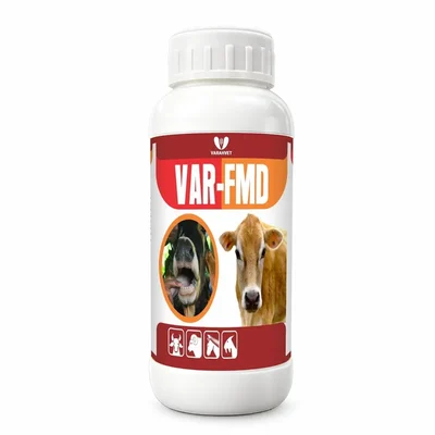VarahVet VAR-FMD Ayurvedic Feed Supplement, Foot & Mouth Disease Management for Cattle,Sheep, Goat(Quantity-500 ml)