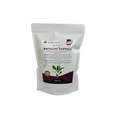 Pioneer Agro Bacillus Subtilis Powder Plant Feed (1 Kg) |Bio Fungicide for Indoor and Outdoor Home Gardening