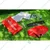 Honda Backpack Brush Cutter UMR435T L2ST, With 4 Stroke 35.8 Engine For Crop Cutting & Lawn Grass Cutting