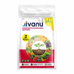 Jivanu 500 gm PSB (Phosphate Solubilizing Bacteria)