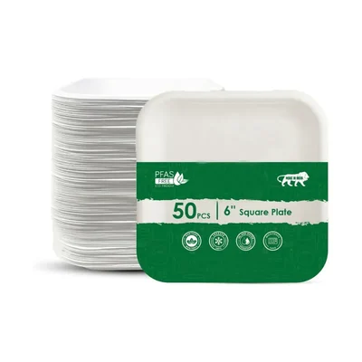 6 Inch Square Bagasse Disposable Plates for Birthday Wedding Party Catering & Events(Pack-50 Pcs)