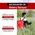 Balwaan BS-20 18 liter 12V/8A Single Motor Battery Sprayer | Suitable for Agriculture, Garden and Nursery