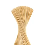 HORECA, 700 Pcs, 10 Inch Wooden Bamboo Skewers Sticks, Perfect for Grilling, Roasting & Party Treats