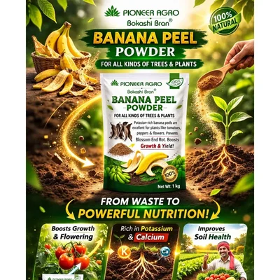 Pioneer Agro Banana Peel Powder 1 Kg Organic Fertilizer for Plants and Gardening, Plant Nutrient Booster
