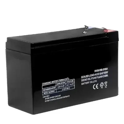 High Quality 12/16 AH battery for Sprayer with 6 months warranty