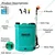 Fortune 18L Single Motor Knapsack Battery Sprayer with 12V 14A Battery For Agricultural Purposes