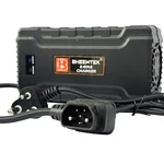 BHEEMTEK 72V 8A Fast Charger for Revolt RV400 Electric Bike, 84V Output for Lithium Battery  | 1 Year Warranty 