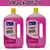 2 Pack of BIG Pure 2L(1L x 2pcs) Carbon Cleaner Supreme for Engines, Brakes, Generators, Starters