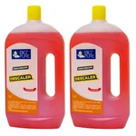 2pcs Combo Pack of BIG Pure 2L(1L x 2pcs) Industrial Descaler Supreme to Remove Lime Scales, Rust, Stains