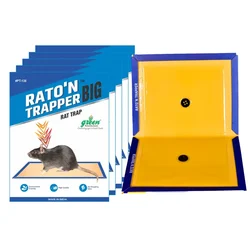 Green Revolution 22 x 33 cm Big Rat Trap/ Mouse Glue Trap for Home, Kitchen, Garage, Warehouse, etc.(Quantity-Pack of 5)