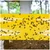 Green Revolution 30 cm x 100 meter (Big) Yellow Sticky Roll for Controlling White Fly, Aphids, Jassids