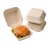 50 Pcs, Bagasse Disposable Takeaway Food Burger Box