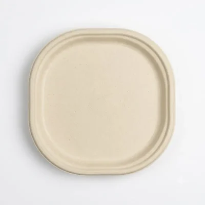 10 Inch Chuk Disposable Dinner Plates 100% Biodegradable Plant Fiber Spec for Parties, Weddings & Family Events(Pack-500 Pcs)