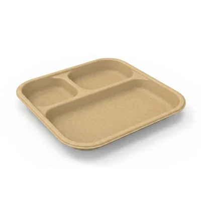 3 CP Chuk 100% Biodegradable Meal Tray for Parties, Catering & Family Events | Eco Friendly Disposable Food Plate(Pack-500 pcs)