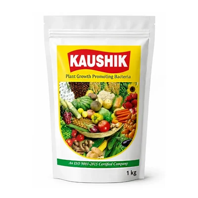Koushik 1 KG PGPB Bio-Fungicide Wettable Powder for Crop Fungal & Bacterial Disease Control Organic Compatible