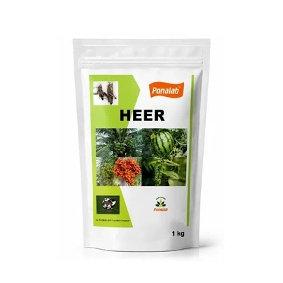 HEER 1 kg Metarhizium Anisopliae Bio-Insecticide Powder (2x10^8 CFU/g) for Organic Pest Control against White Grubs