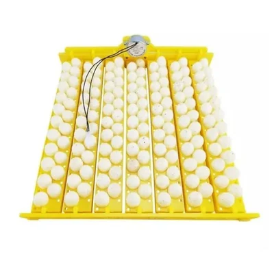  Automatic 154 Quail Birds Eggs Turn Tray with AC220V Motor