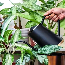 Metal Watering Can 1.5 Liter Black for Home Gardening/ Flower Watering Can for Home Use