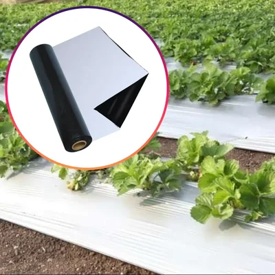 Iris Polymers 2 pieces Premium Quality 1.2 x 400 meter Black and White Mulching Sheet with 5 months Warranty