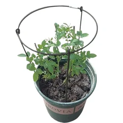 Ecofynd 15 inches Metal Plant Stakes for Plant Support - Pack of 5 (TR012-BLK-105)