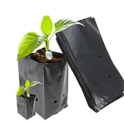 AgriVision 5x7 Inch (50 Pcs) Black Nursery Bags UV Coated Plastic Grow Bags for Seedlings, Saplings & Plant Cultivation